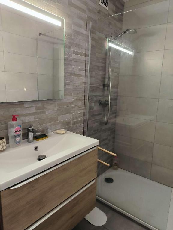 APPARTEMENT T2-6 COUCHAGES- PLEIN COEUR DE STATION FONT-ROMEU - 4