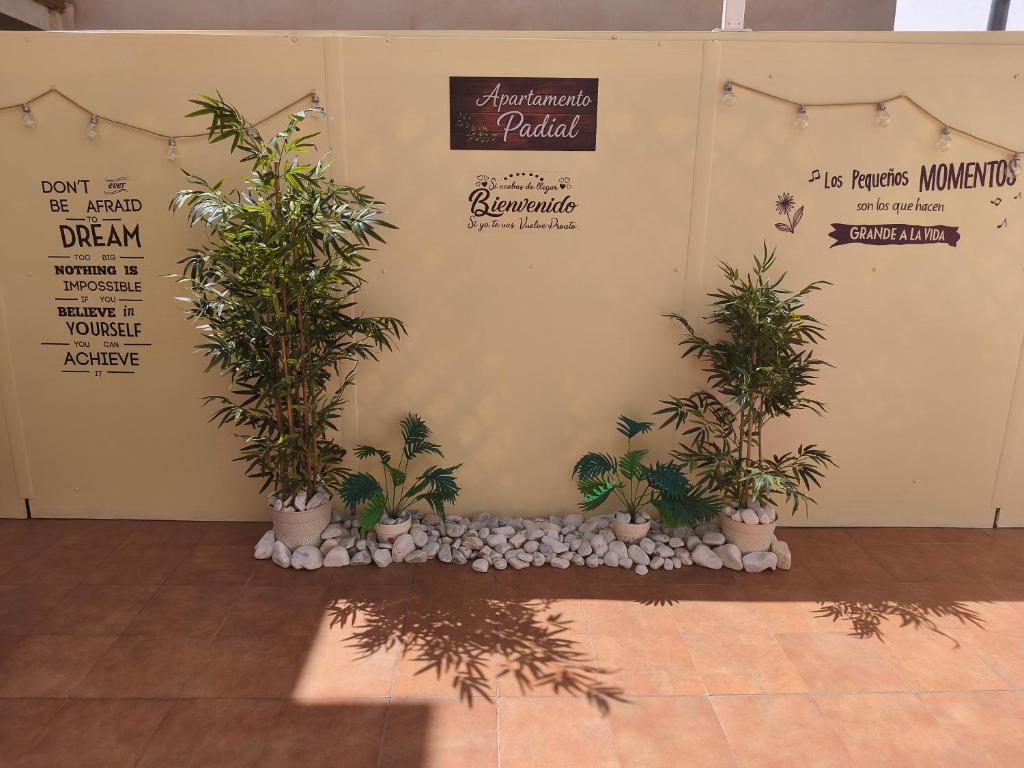 Apartamento Padial - 1