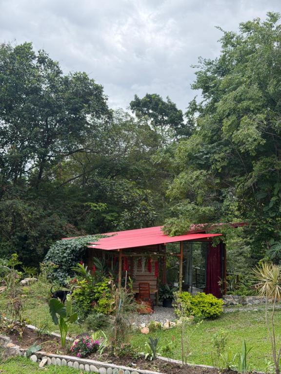 Glamping finca la fortuna - 4