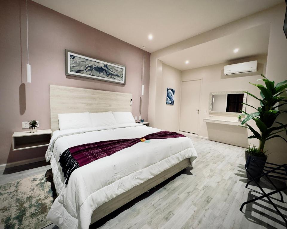 Camila Suites & Rooms - 1