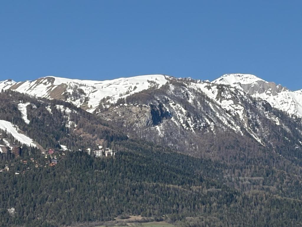 ALT 04 STUDIOS - barcelonnette - 3