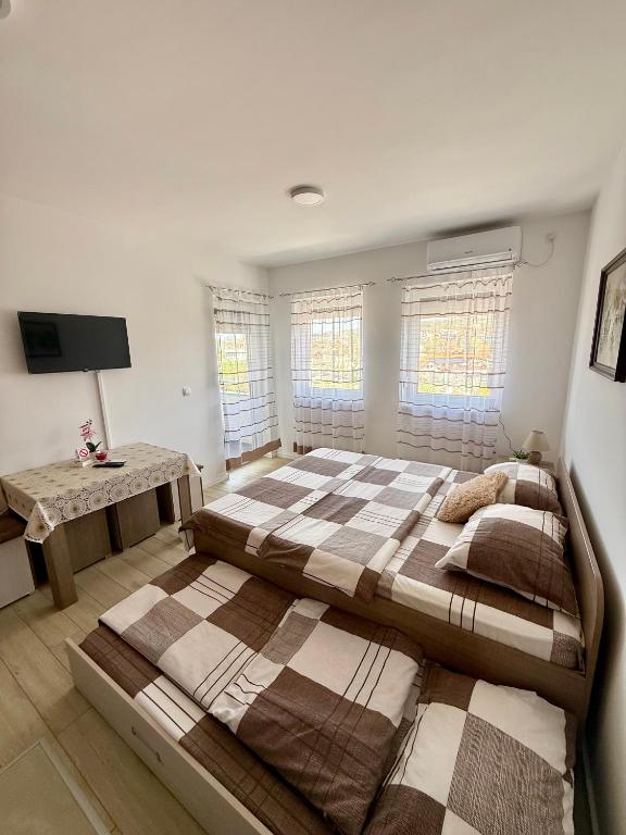 Studio Dimitrije 15 - 1