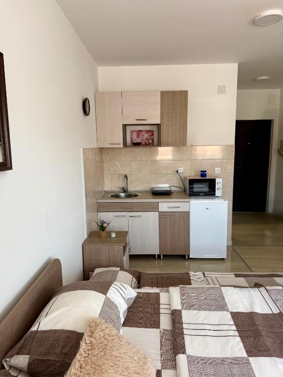 Studio Dimitrije 15 - 4