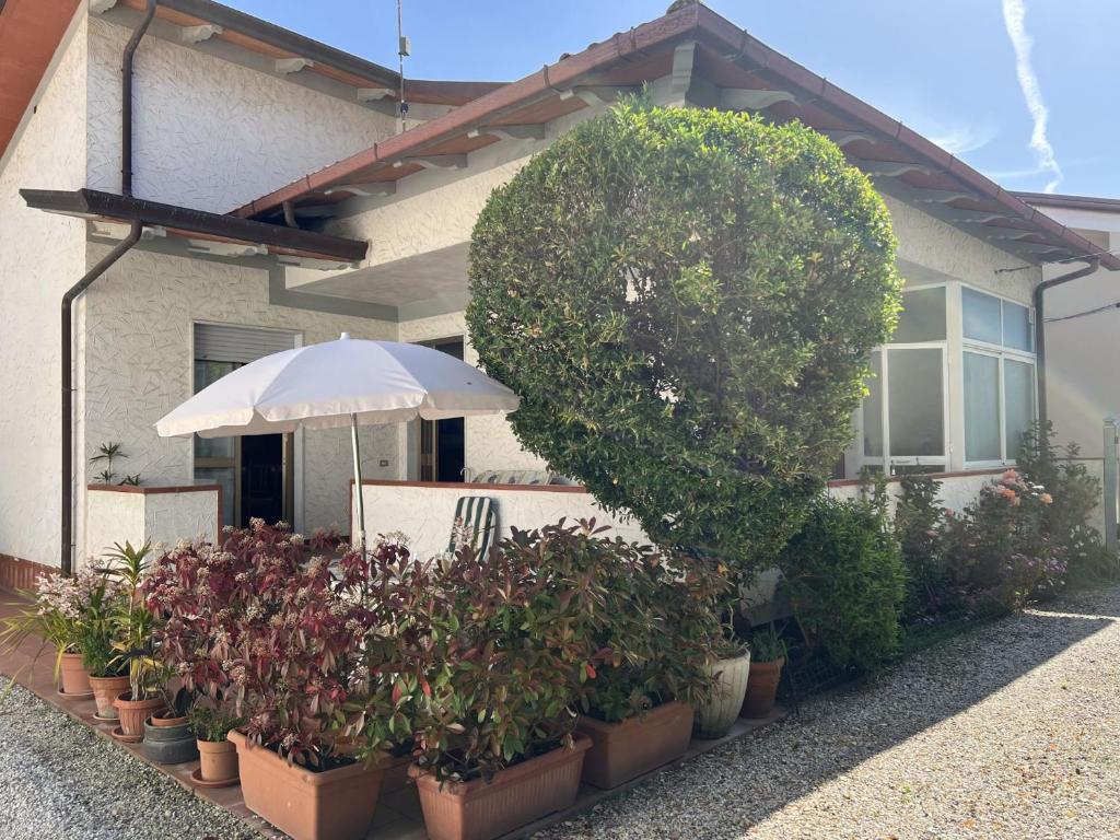 Casa Nina - 1