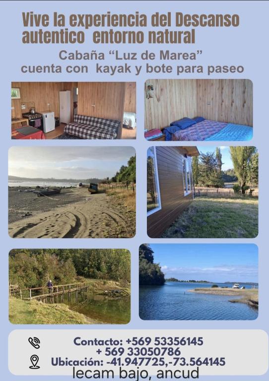 Luz de mareas - 1