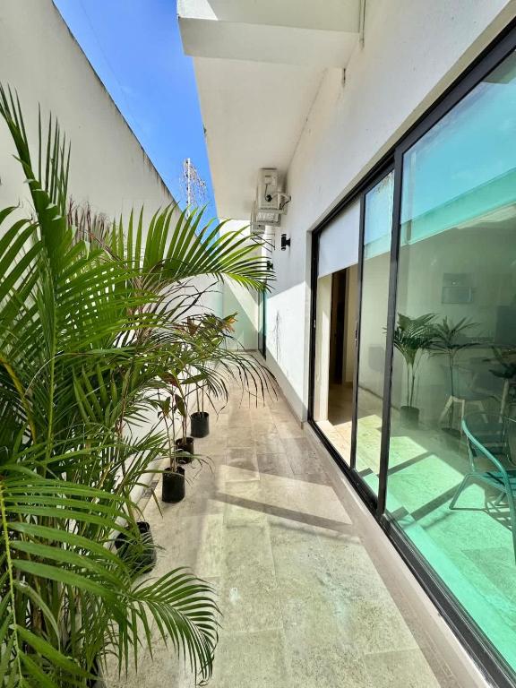 Spacious Ground Floor Apartment - 2