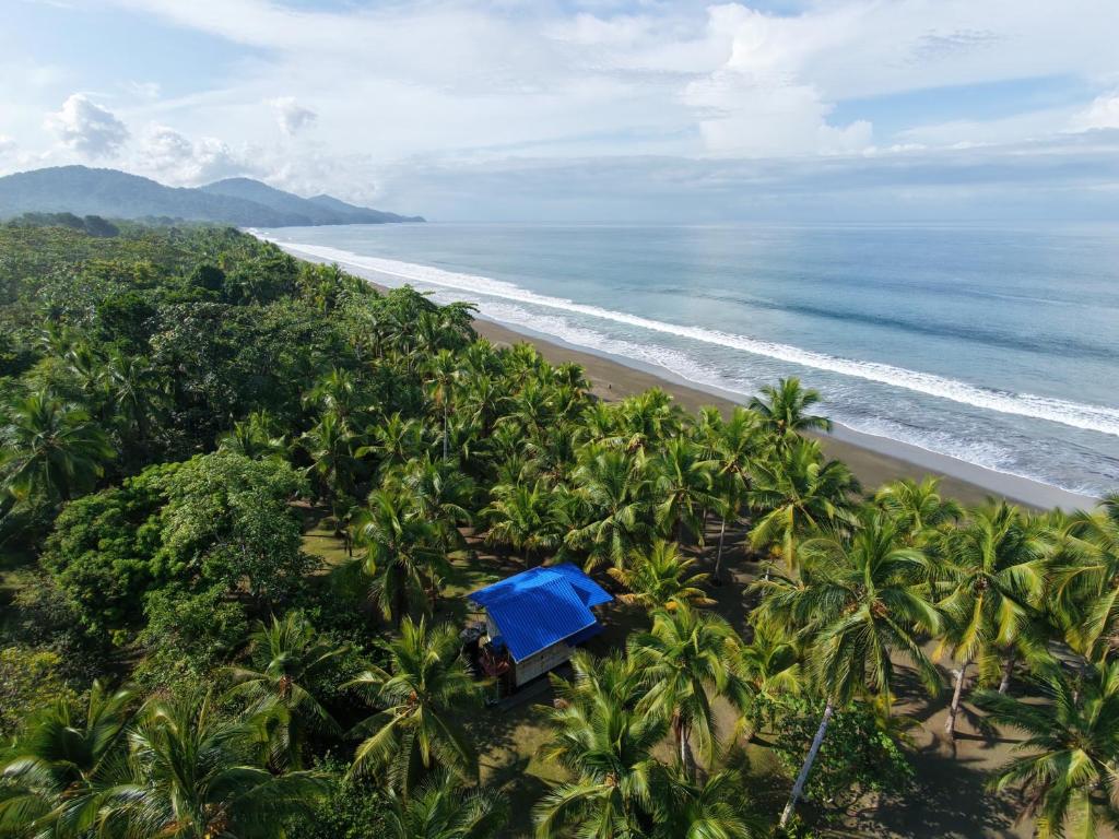 Cuevita Paradise Lodge - 5