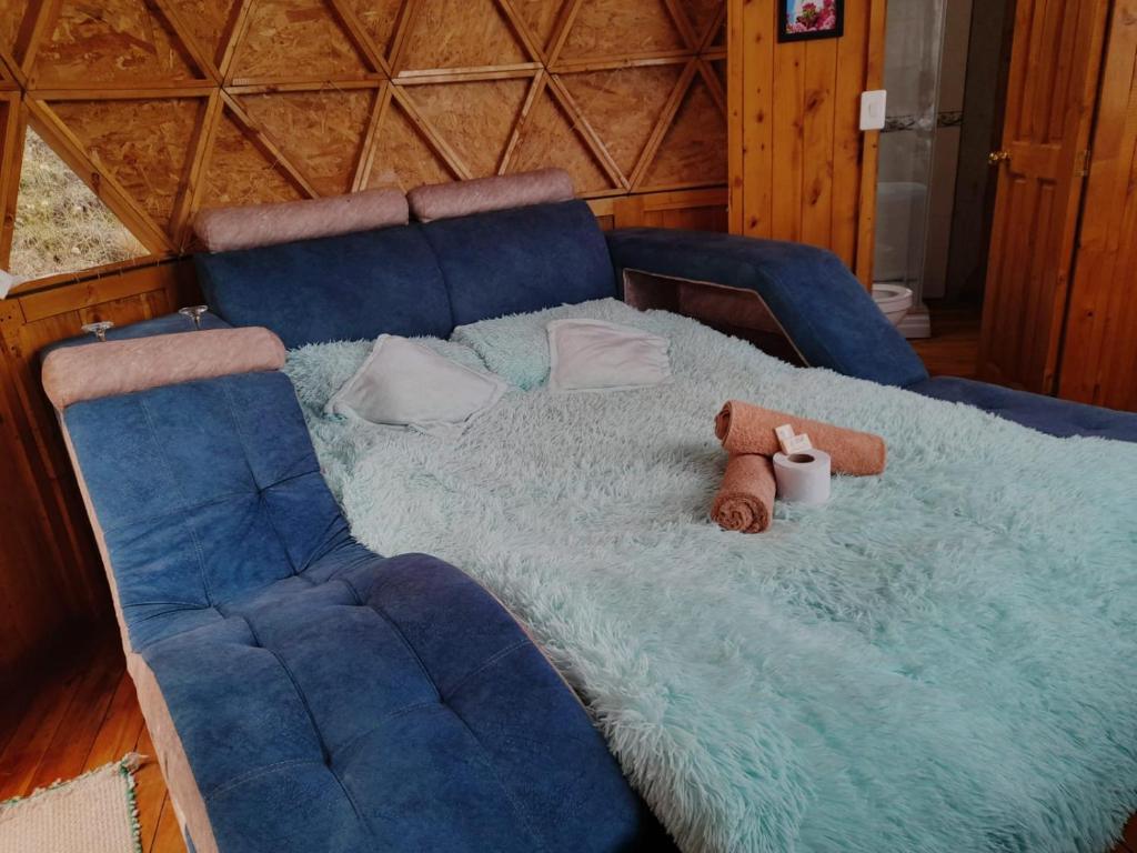 Glamping Centauro - 4