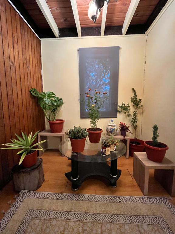 Cochrane hostal - 1