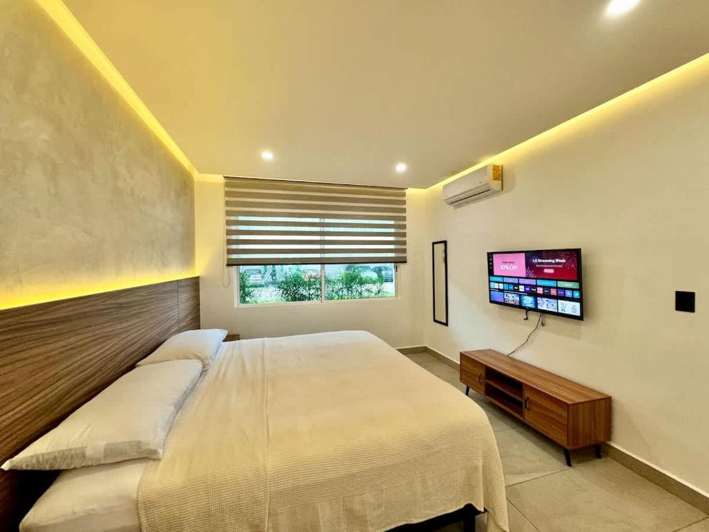 Modern 2 Bedroom Ground Floor Apartment! - 4