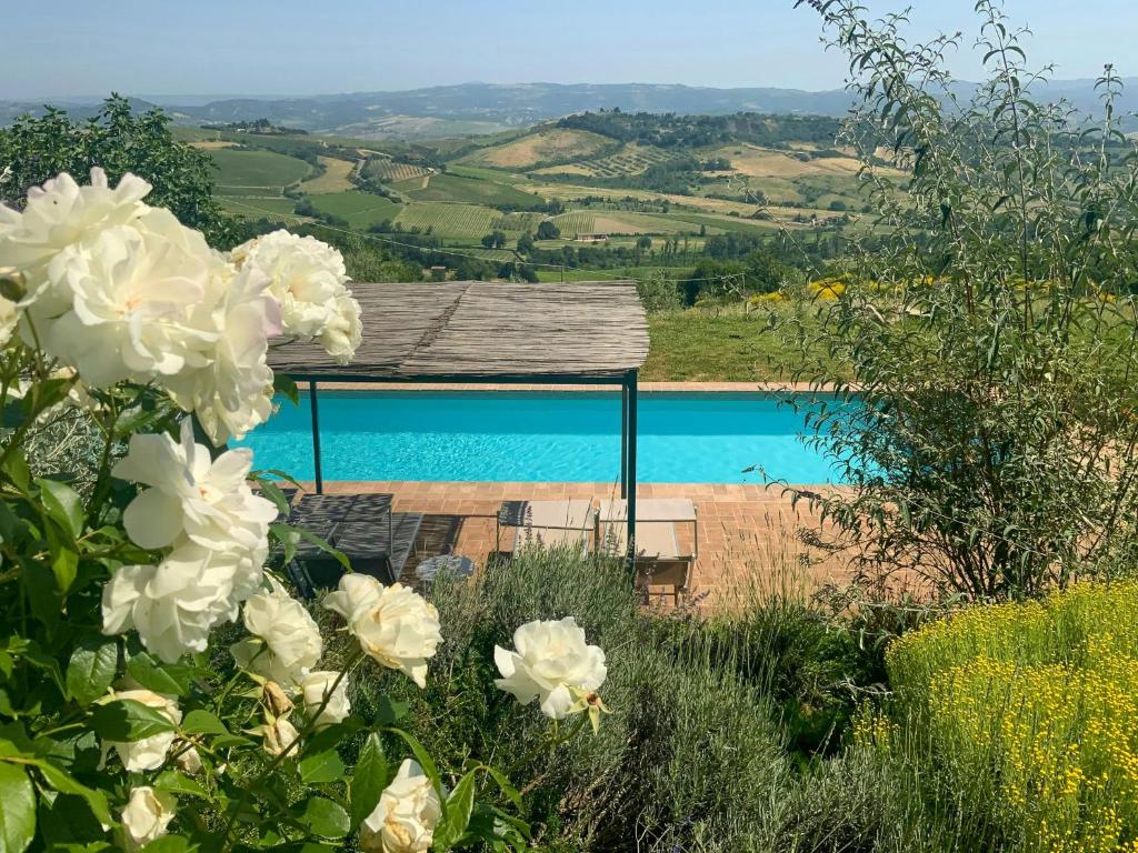 Panoramic Villa Among Vineyards In Orvieto - 1