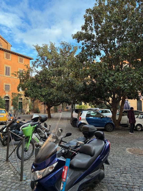 The Yellow Nest Apartment Suite in Trastevere - 3