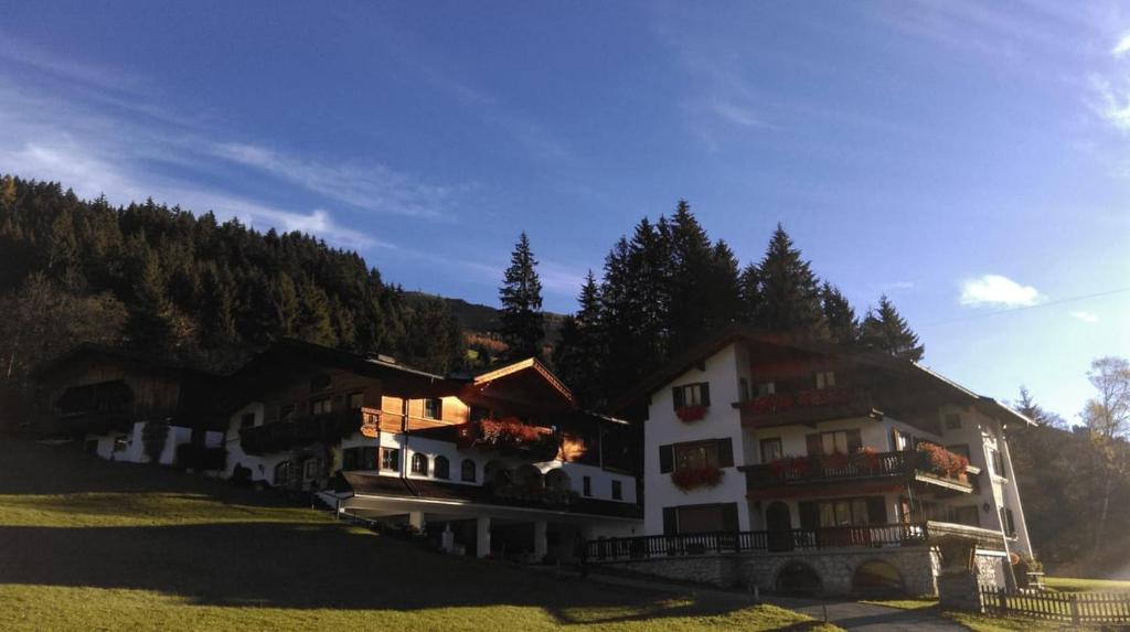 Bauernhof Tuxerschafer - 3