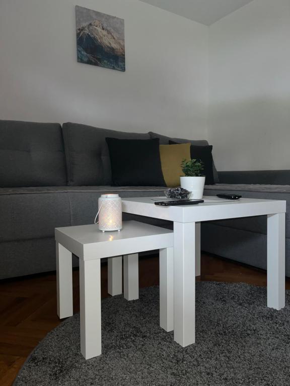Zlatibor nest cosy modern - 2