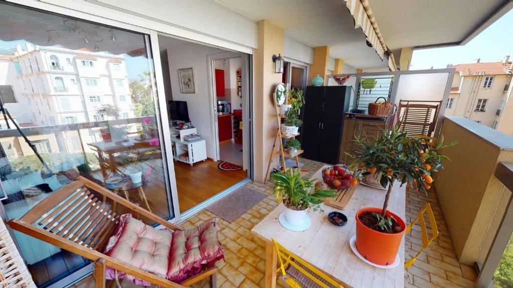 48M - Grand studio avec alcôve et terrasse - 3