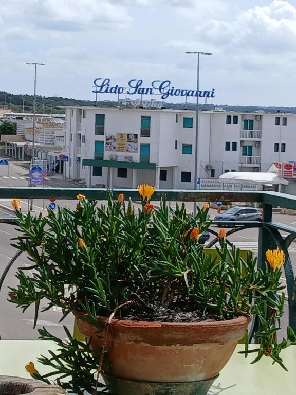 La terrazza sul mare di Gallipoli - 2