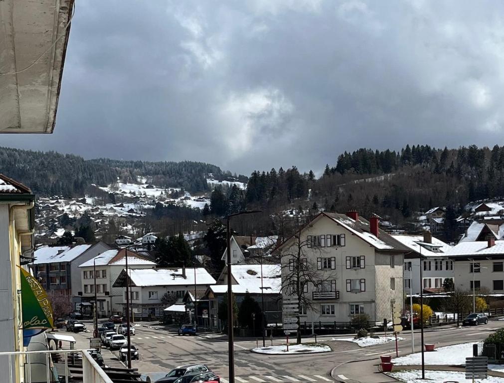 Appartement lumineux centre gérardmer vue lac - 5