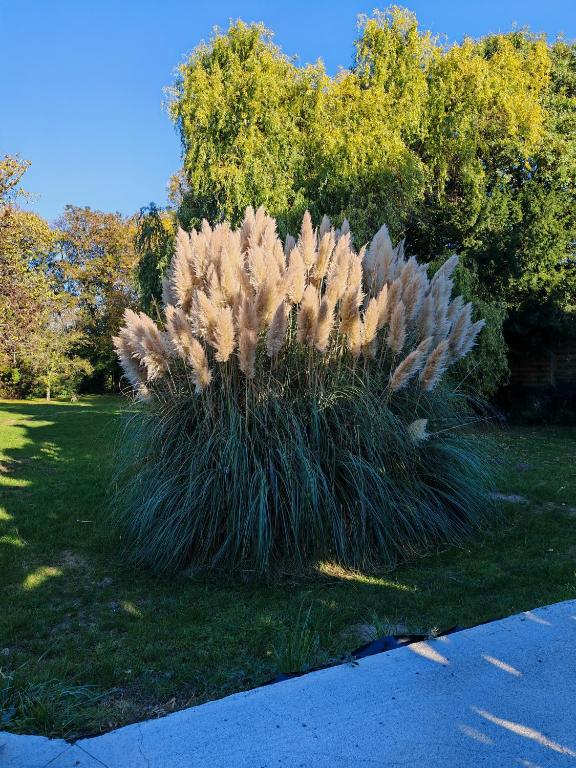 Le MABILEAU - 2