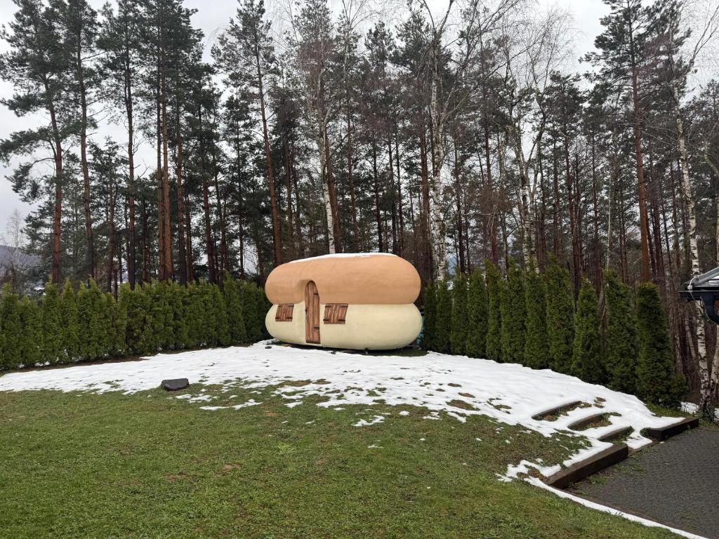Surrounding environment