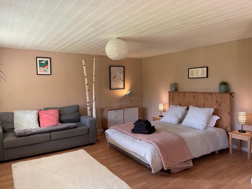 Studio Cosy Calme-Nature - 2