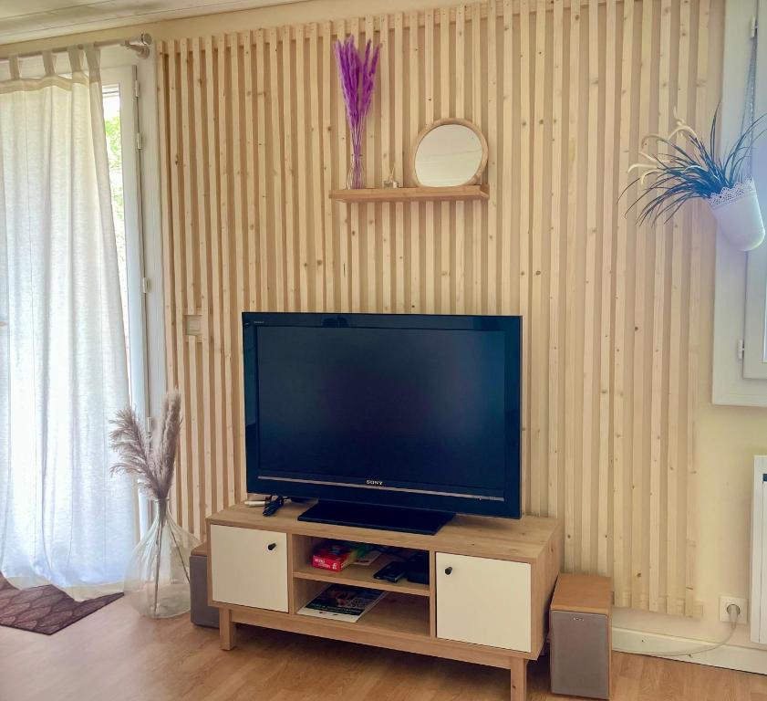 Studio Cosy Calme-Nature - 4