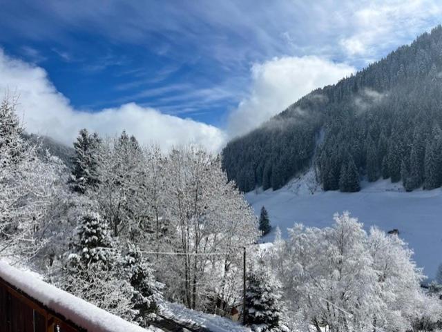 Chalet Violeta - 3