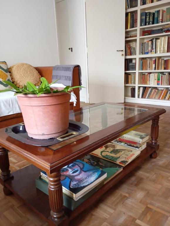 Relaxation with private garden terrace in Teatro Colón, Buenos Aires - 4