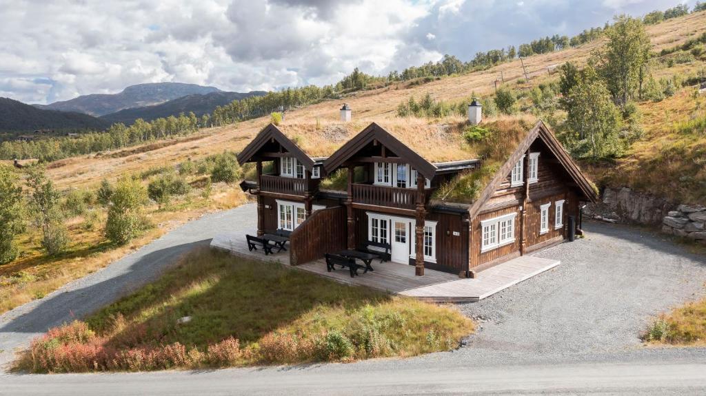 Ảnh 5