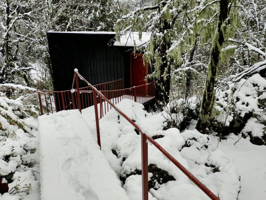 M Refugio 6 Hualle I 6 personas I Tinaja I Bosque nativo - 2