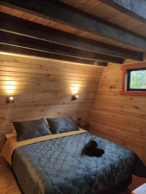 M Refugio 3 Radal I 2 personas I Tinaja I Bosque Nativo - 1