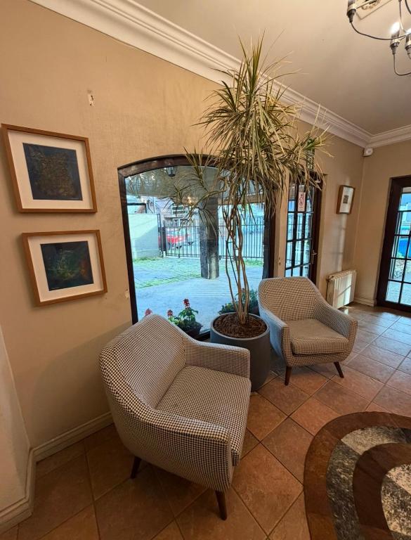 departamento pet friendly - 2
