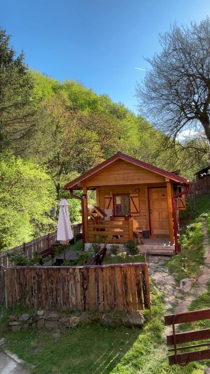 Brvnara Novičić - 3