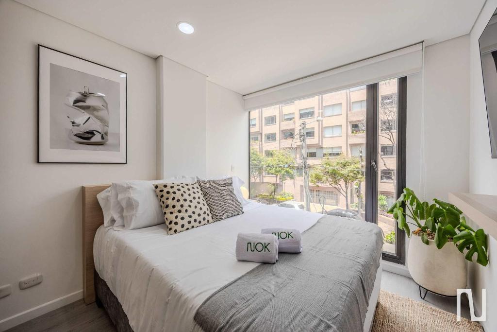 NOK Cozy 1BR Apartment in Chico Norte - 2