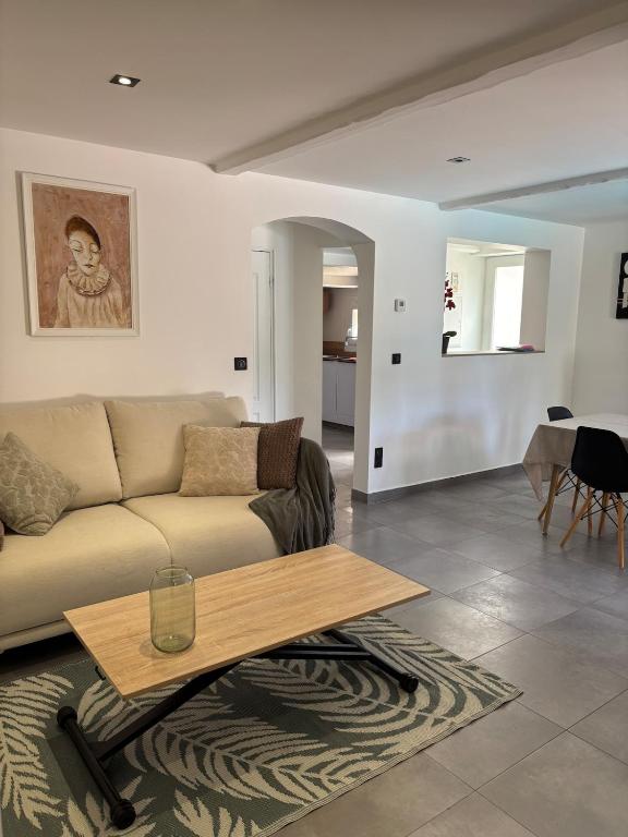 Villa near Cannes with private pool - 3