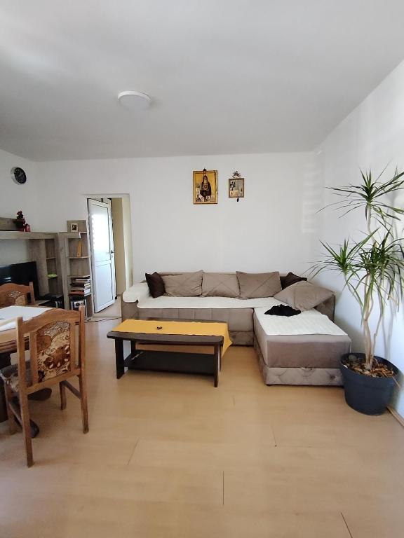 Georgije's apartment - 5