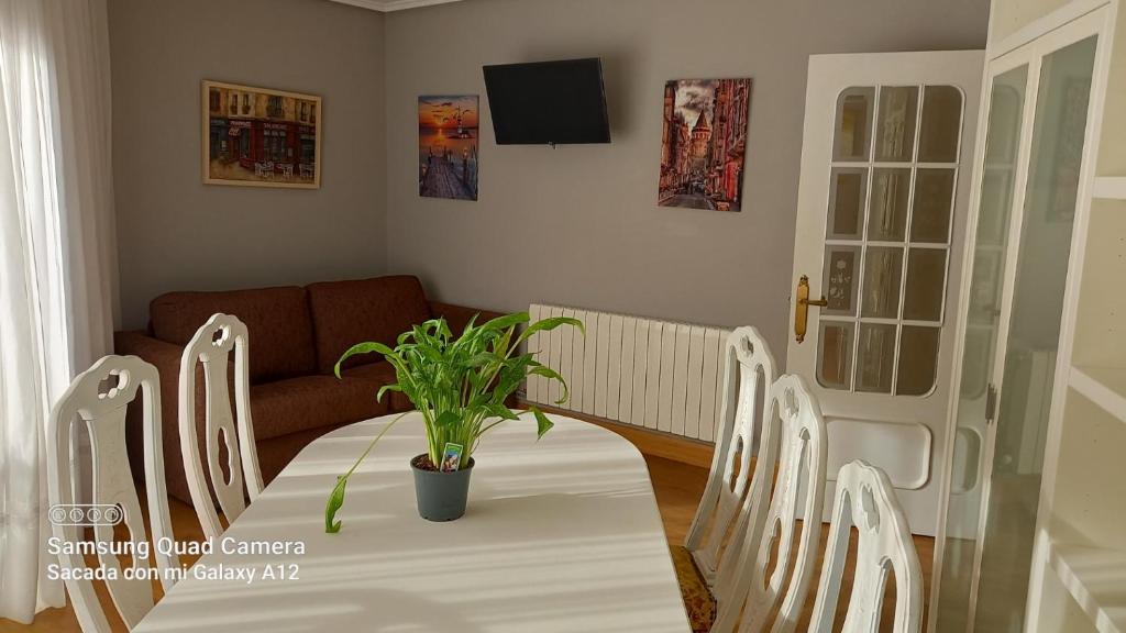 Apart con posibilidad parking con 3 dormitorios y 2 baños para 5 personas - 4