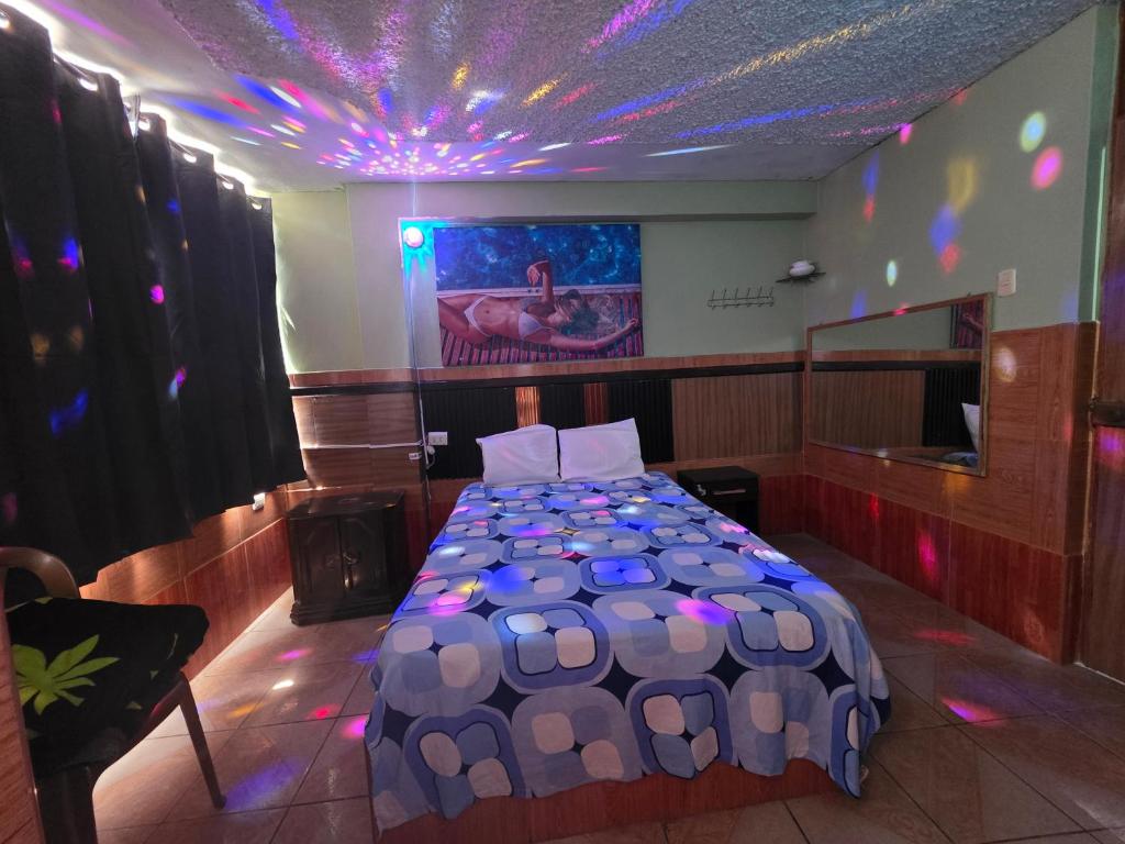 Hostal EL BOSQUE - 1