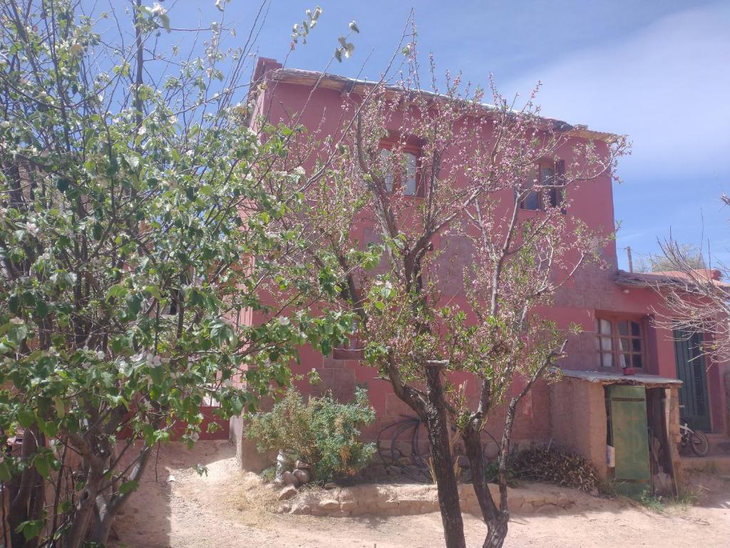 La Ollita - 2