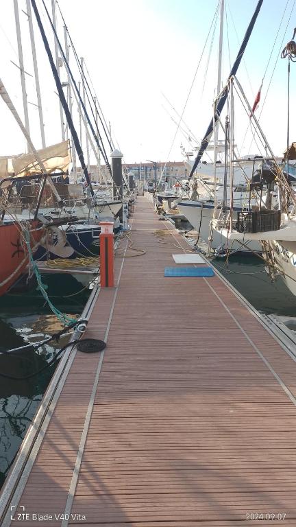 Corralejo Boat Experience - 3