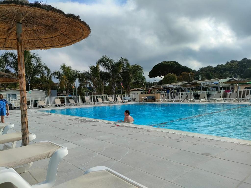 Ảnh 3