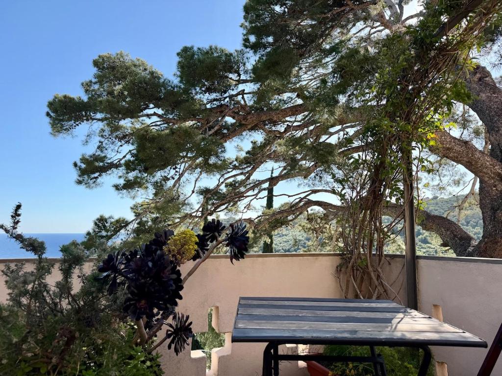 HOST4U - ex Archbishop's House & Terrace, Imperia - 3