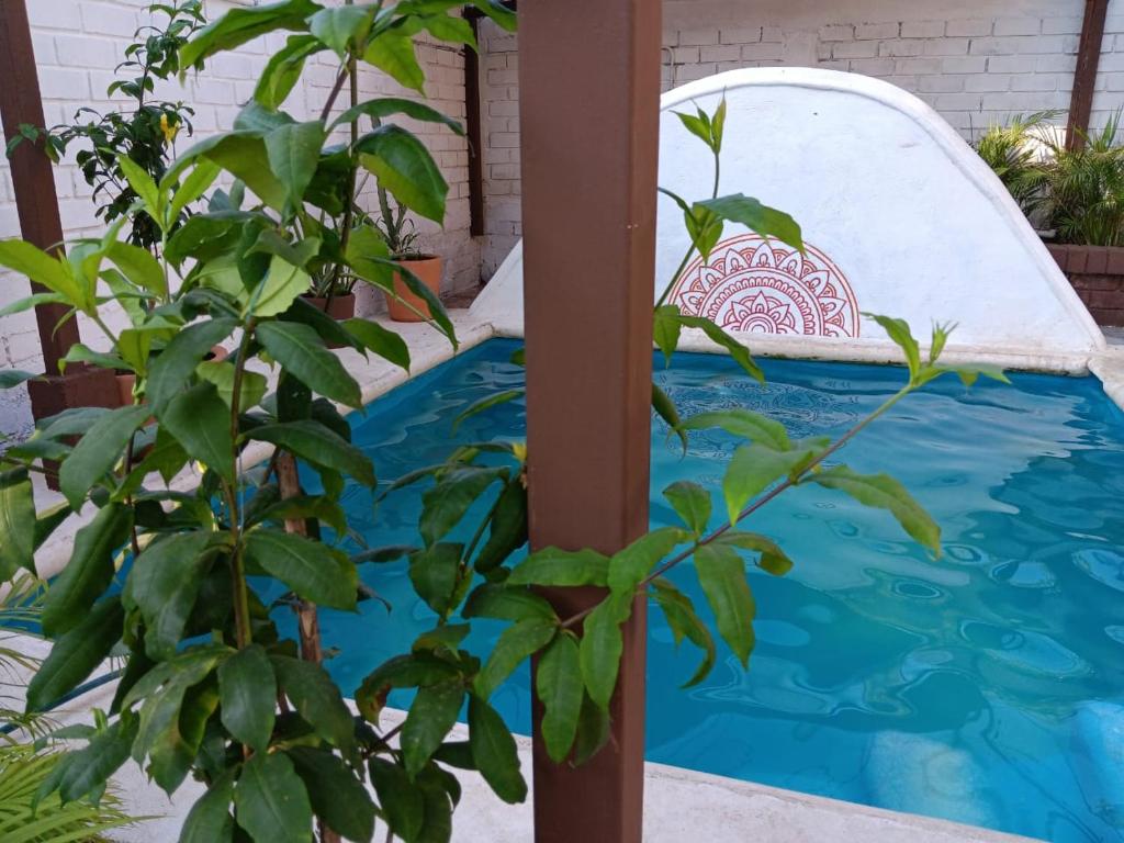 Casa Tzipora - 5