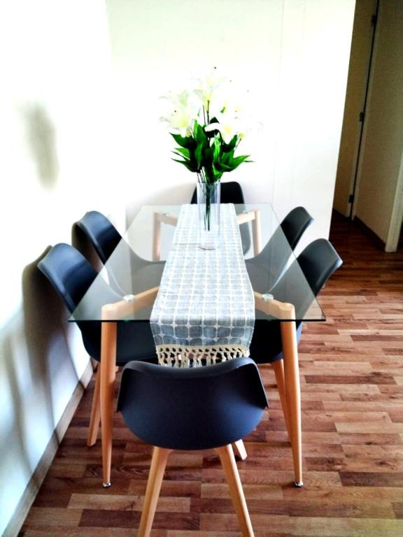 Renovated and Spacious apartment in Santiago! - 4