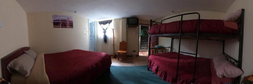 Hostal las Lajas de Papallacta - 5