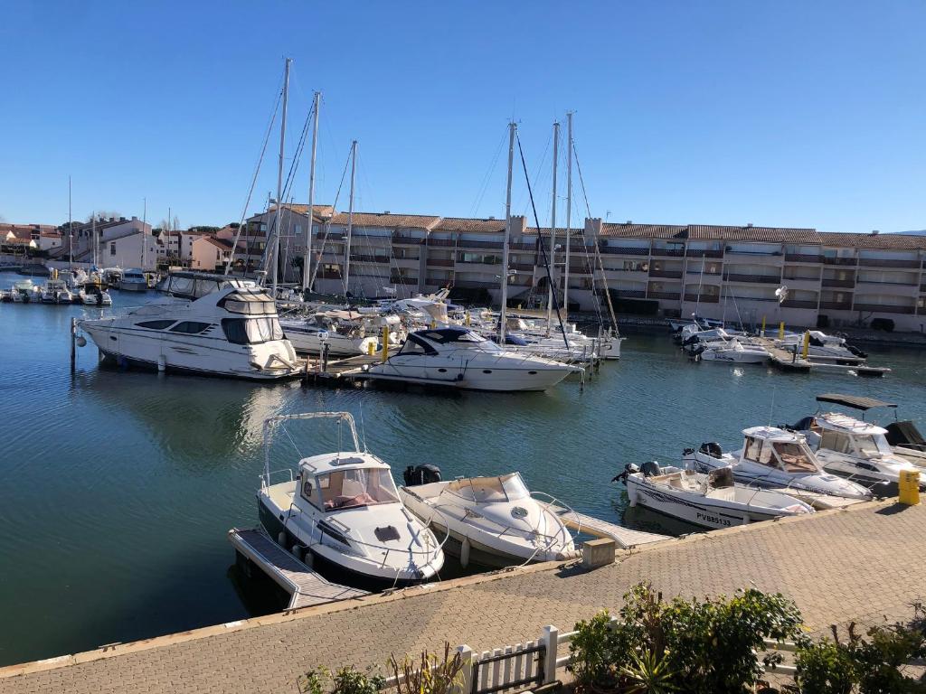 Appartement vue sur marina, piscine - 4 pers. - 4