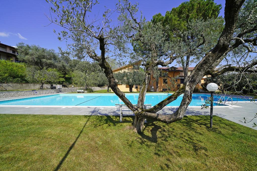Olive Garden Garda - pool & view - 3