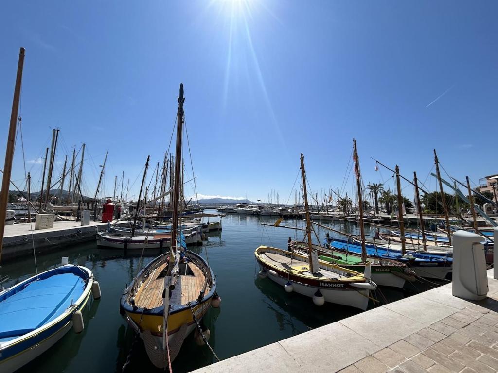 Apartment with sea view on Port de Sanary - 4