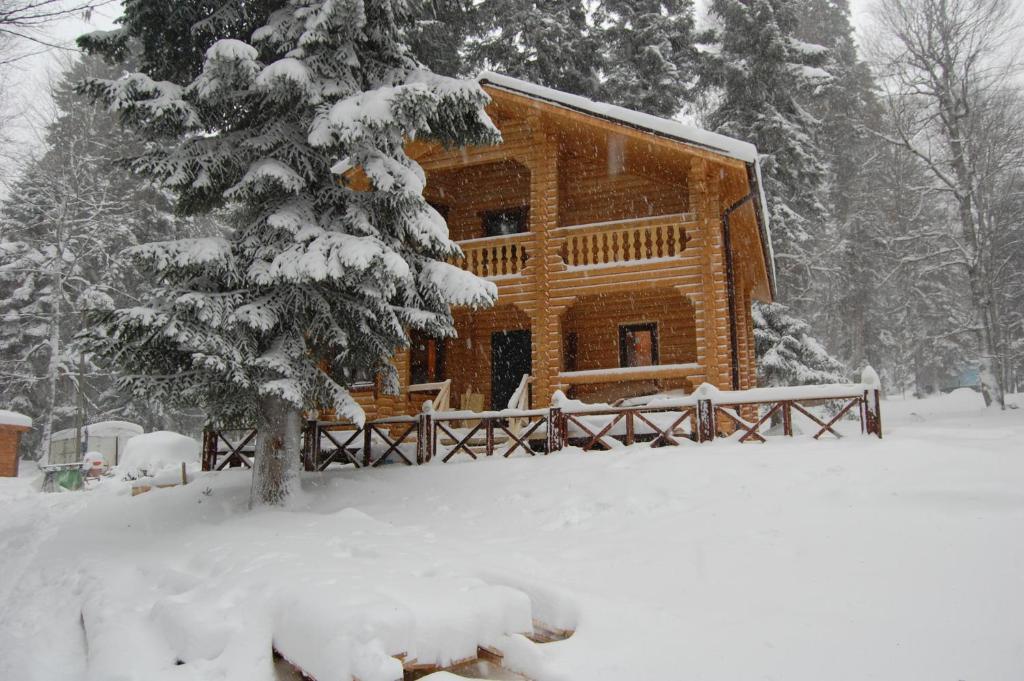 Guest House Lesogorie 전경