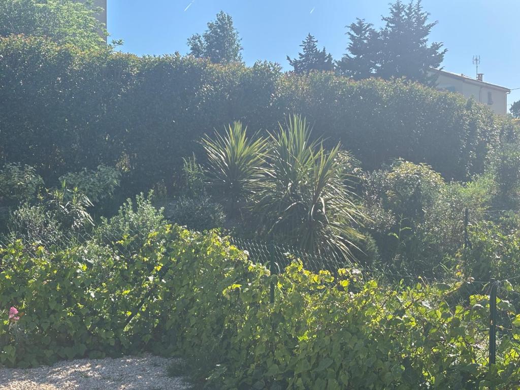la pause soleil, villa climatisée, avec jardin et parkings privés, à 5 mn de la mer, au calme - 2