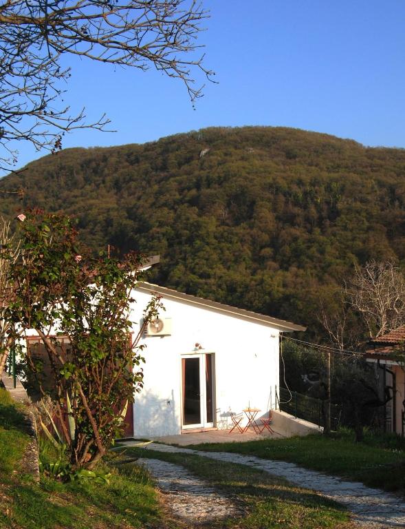B&B Sottocolle - Appartamento in splendida posizione collinare - 4